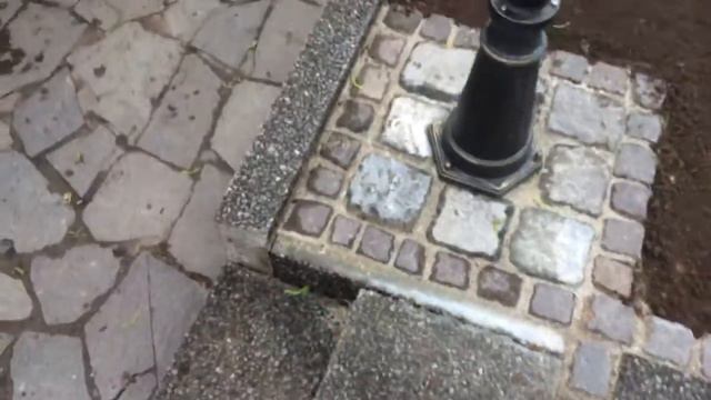 Как нужно садить газон своими руками 1 смотреть онлайн