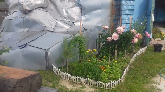 Красота Сибирских дач смотреть онлайн