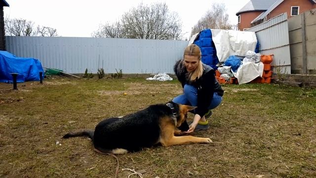 Качаем поясницу смотреть онлайн