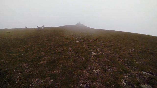 Dreamy Days - Cinematic Hike in Ireland (Drone Mavic Mini) смотреть онлайн