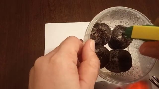 Петуния. Успешная посадка на 100%! Мой опыт. смотреть онлайн
