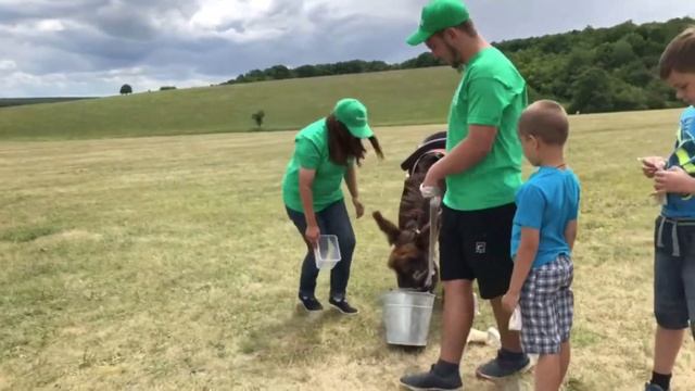 Детская квест сказка про Микитку смотреть онлайн