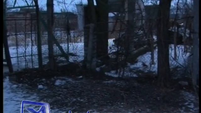 Спасение собаки смотреть онлайн