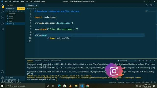Download Profile pic of Instagram user by python programming| codejay | Download profile pic смотреть онлайн
