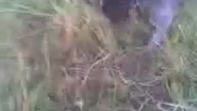 Тренировки