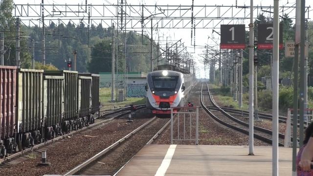 Электропоезд ЭД4М-0503 ЦППК станция Петелино смотреть онлайн