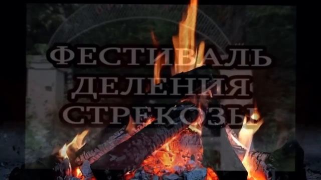 Самые жуткие аниматоры ютуба! || Vegmao (нет спасибо я не голодный)/treatsforbeasts (I love Jesus) смотреть онлайн