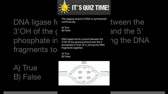 DNA Ligase смотреть онлайн