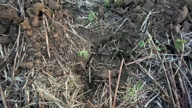 Раскопки в старой деревне или следы Российской Империи смотреть онлайн