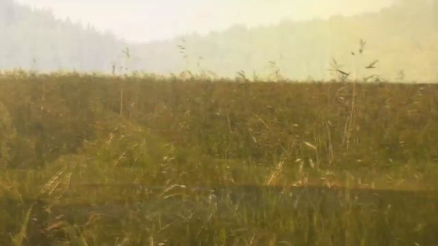 "Как прекрасна жизнь", Виктория Накорнеева и Али Бекиров смотреть онлайн