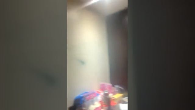 Очередной приступ беженства приключился в британском отеле, после выселения чубатых. смотреть онлайн