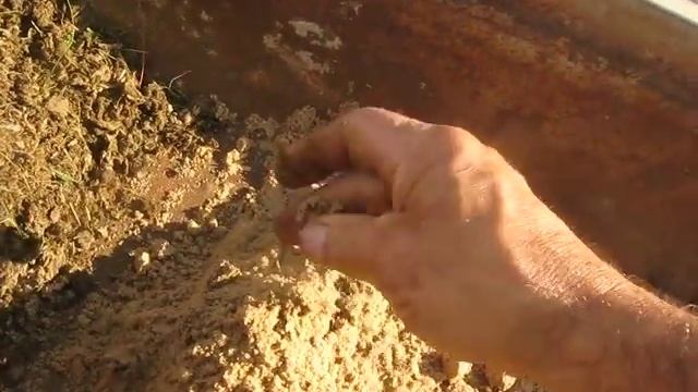Готовлю грунт для пересадки банана смотреть онлайн
