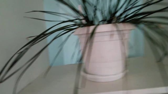 Сижу я тут в институте на 4 этаже где ловит Wi-fi:) смотреть онлайн