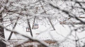 ВЕРАСЫ  МЕТЕЛЬ ЗАВИРУХА