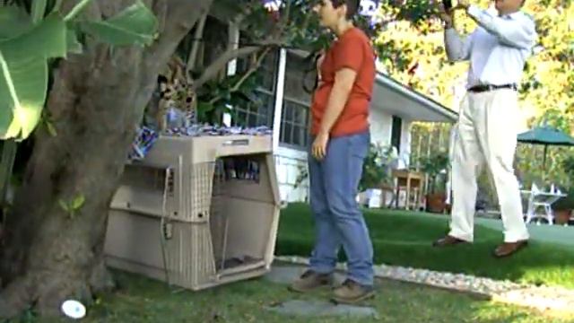 Serval in Bel Air смотреть онлайн