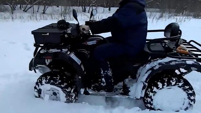 Два зверя рвут снежные преграды.... смотреть онлайн