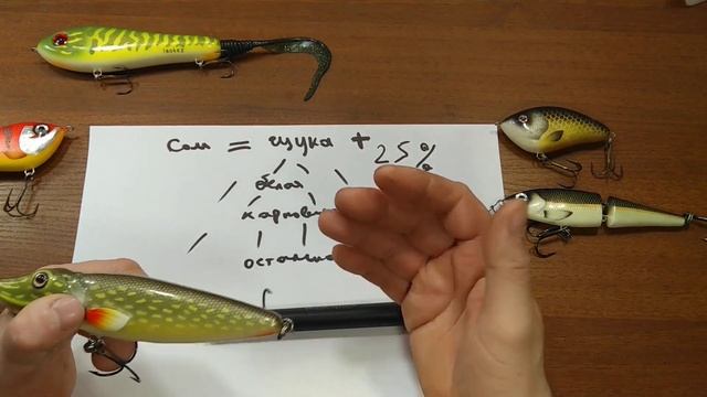 Щука и сом. Запрет на ловлю щуки в зимний период. смотреть онлайн