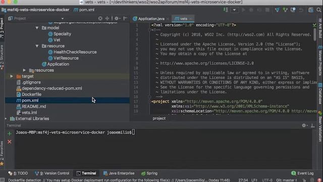 Substituindo Servidores de Aplicação por APIs em Containers - João Emílio da WSO2 | MC 2017 смотреть онлайн
