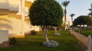 Labranda club Makadi 4* Египет 17.10.2021 обзор