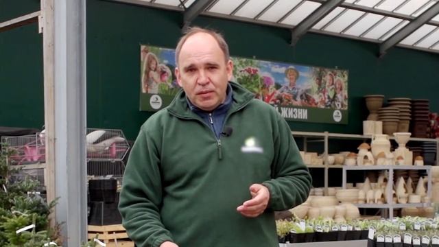 Какие растения выбрать для альпийской горки? смотреть онлайн