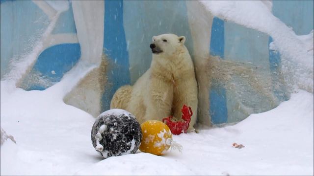 Герда и детская игрушка. 27.01.21 г. смотреть онлайн