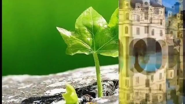 8 мая 2018 г. смотреть онлайн
