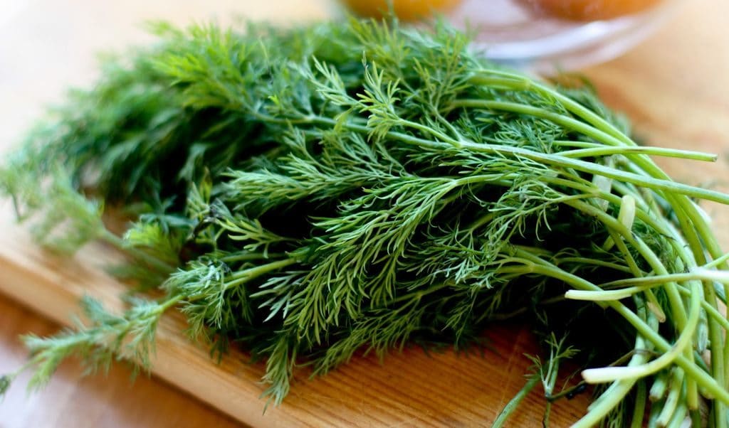 ЗАГОТОВКА УКРОПА НА ЗИМУ. Укроп больше не покупаю.Мои способы. смотреть онлайн