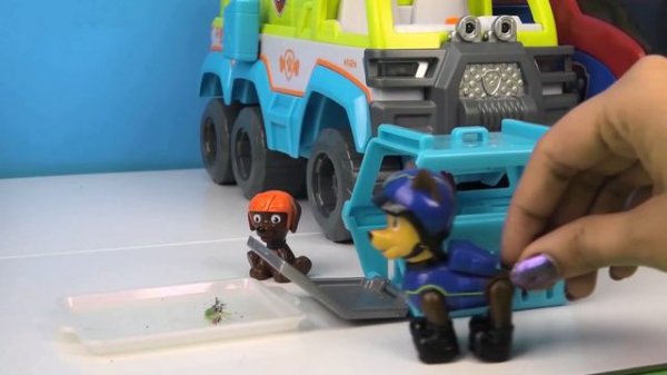Cookie Monster in Town how will Paw Patrol handle it? | Cookies, Monster, Fun