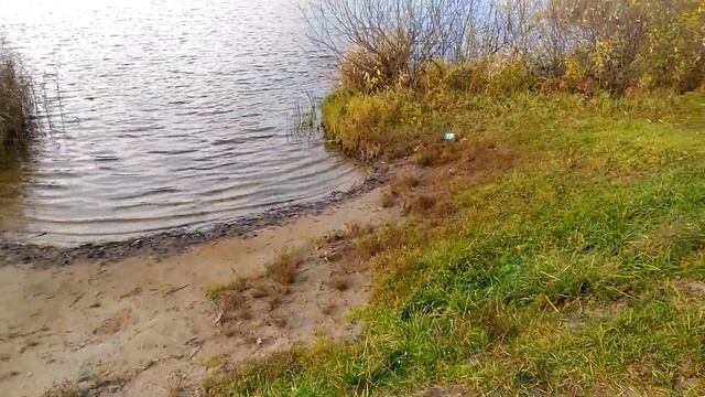 Исаакиевское озеро. Орехово-Зуево. 2021г. смотреть онлайн