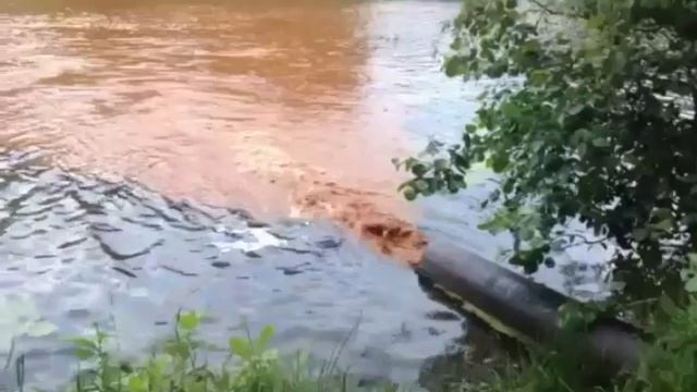 В сумской Псел снова сливают ржавчину смотреть онлайн