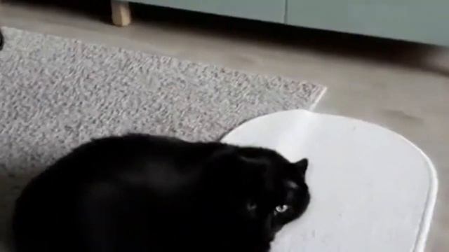 Что если поперхнуться ? не в то горло примета, что значит примета если подавился? смотреть онлайн