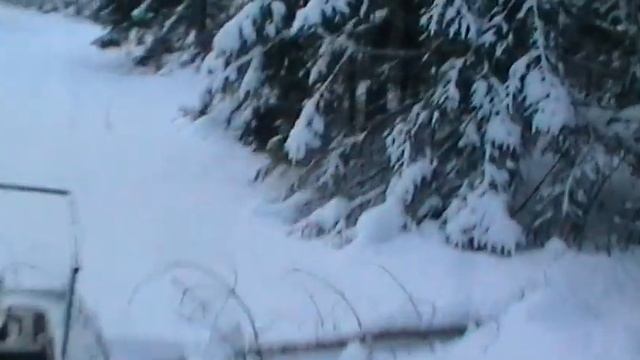Испытания мотособаки МД на упрапвляемость по лесу(снимаю КАМЕРОЙ правой рукой и газую левой) смотреть онлайн