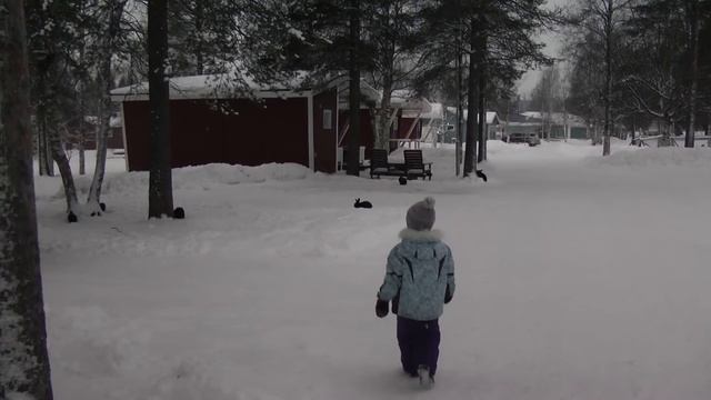 два дня по-фински / Two days in Finnish смотреть онлайн