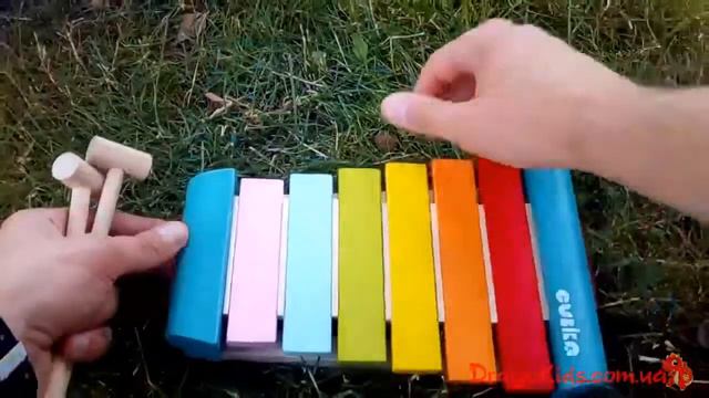 Ксилофон видео 1 смотреть онлайн