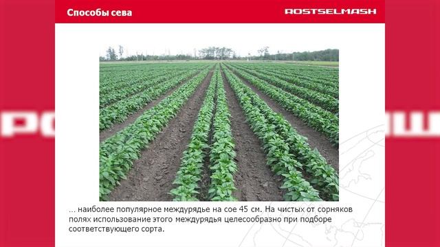 Эффективные агротехнологии возделывания сои смотреть онлайн