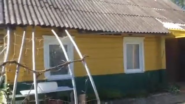 Повесил на беседку занавески. смотреть онлайн