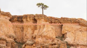 Тимур Хидирбеков и Али Саидов - По барабану [2024]