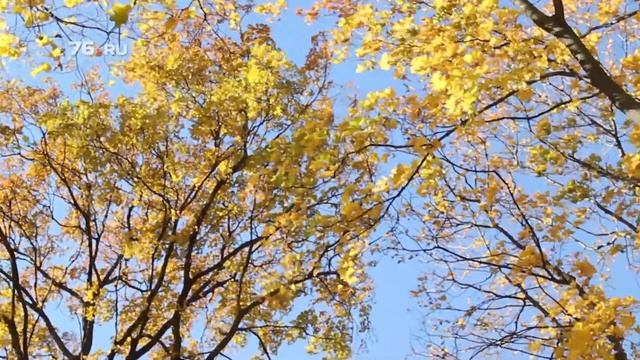 Как сделать осеннюю фотосессию смотреть онлайн