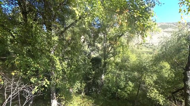 Гуниб. Природный парк Верхний Гуниб. Гора Маяк.