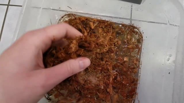 Кокосовый субстрат крупной фракции. Кокосовая щепа. Кокосовые чипсы смотреть онлайн