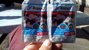 ВТОРАЯ И ОЧЕНЬ ВАЖНАЯ ОБРАБОТКА АБРИКОСА