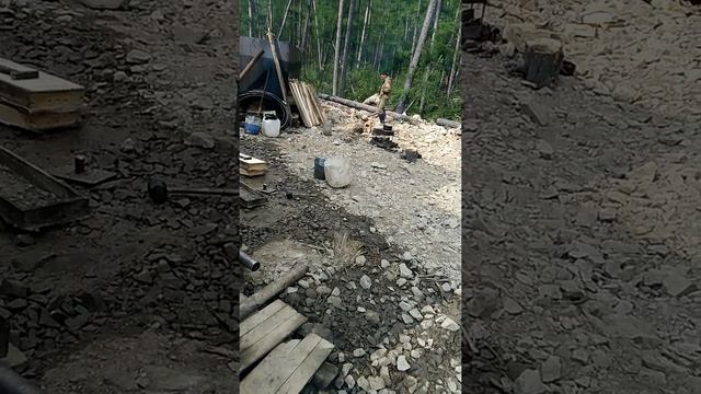 Когда медведь пришёл на буровую смотреть онлайн
