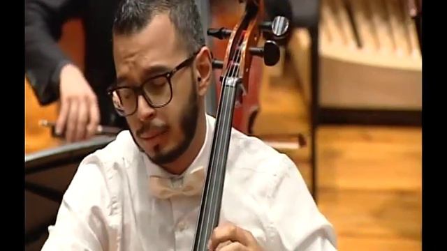 J. Haydn - Concierto para Violoncello en Do Mayor (1/3) смотреть онлайн