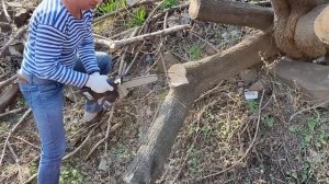 ЗВЕРЬ МАШИНА! АККУМУЛЯТОРНЫЙ СУЧКОРЕЗ С АЛИЭКСПРЕСС!