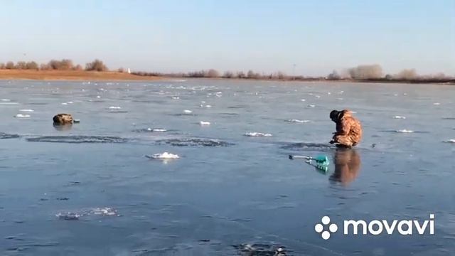 Зимняя ловля судака в Астрахани 2020 смотреть онлайн