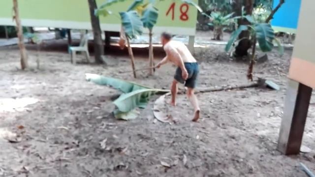 Змея напала на ящерицу: как мы спасали нашего тукке в Камбодже смотреть онлайн