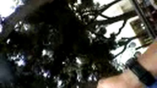 Асланов сабир смотреть онлайн