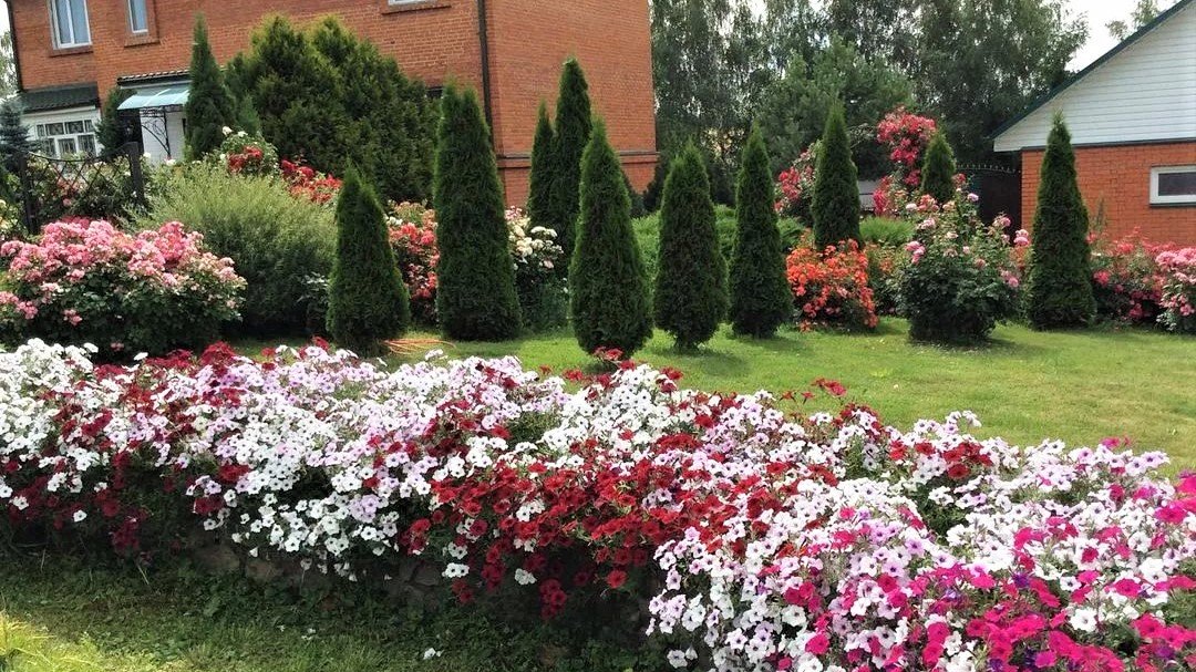 ?Великолепные примеры ландшафтных композиций / The Best Landscape Arrangements / A - Video