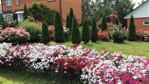 ?Великолепные примеры ландшафтных композиций / The best landscape arrangements / A - Video