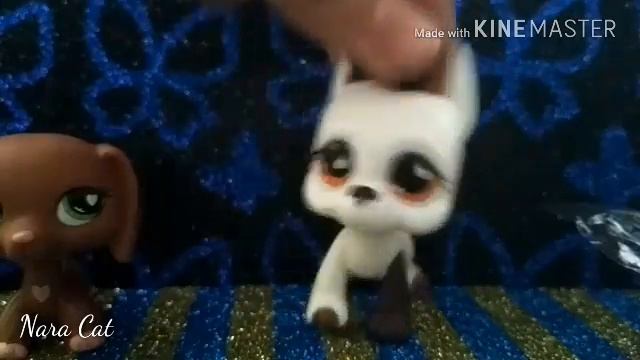 Праздник канала 1год,нас уже 400, распоковка 3пета(дога таксы стоячки) смотреть онлайн